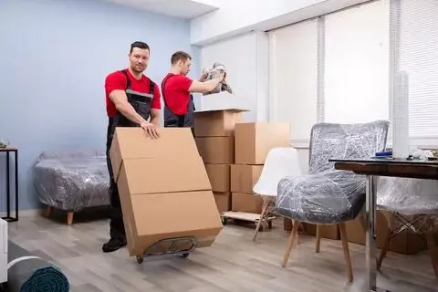 Movers in Al Ain