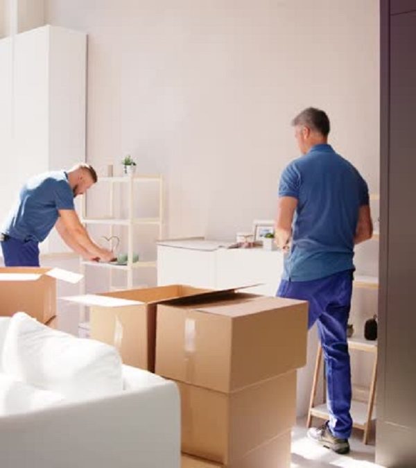 MOVERS IN AL AIN